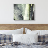 Aloe Leinwanddruck (Insitu (Schlafzimmer))