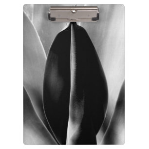 Aloe - Makro Fine Art Fotograf in Schwarz und Weiß Klemmbrett