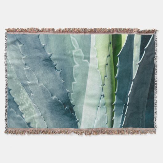 Aloe - Makrofotografie Decke (Vorderseite)