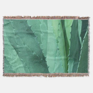 Aloe - Makrofotografie Decke