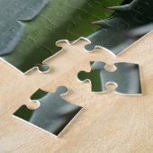 Aloe - Makrofotografie Puzzle (Seite)