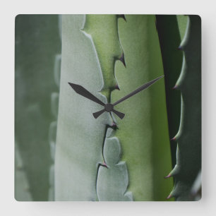 Aloe - Makrofotografie Quadratische Wanduhr