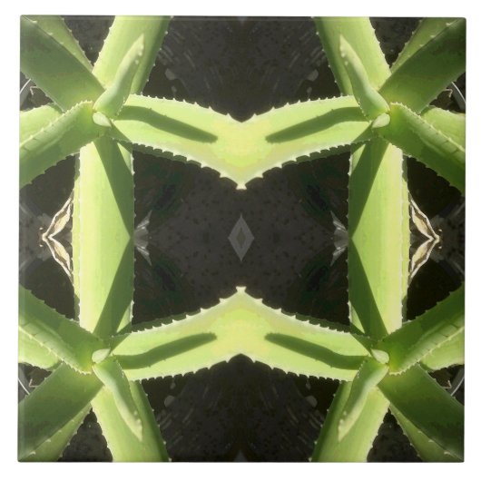 Aloe Pattern 3h Fliese (Vorderseite)