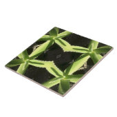 Aloe Pattern 3h Fliese (Seite)