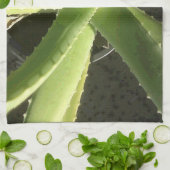 Aloe Pflanze Geschirrtuch (Gefaltet)