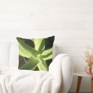 Aloe-Pflanze Kissen