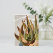 Aloe Pflanze Postcard Postkarte (Stehend Vorderseite)