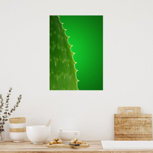 Aloe Pflanze Poster (Küche)