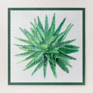 Aloe Puzzle