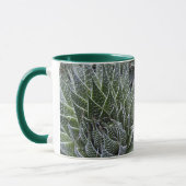 ALOE TASSE (Links)
