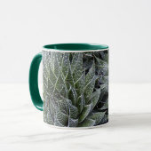 ALOE TASSE (Vorderseite Links)