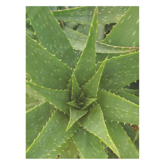 Aloe Tischdecke (Vorderseite)