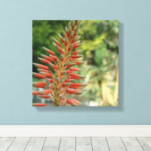 Aloe Vera Blume Blossom Foto Print Leinwanddruck (Insitu (Holzboden))