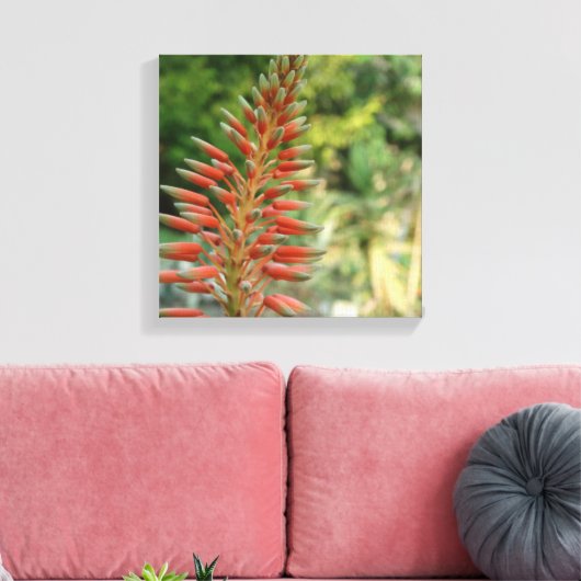Aloe Vera Blume Blossom Foto Print Leinwanddruck (Insitu (Wohnzimmer))