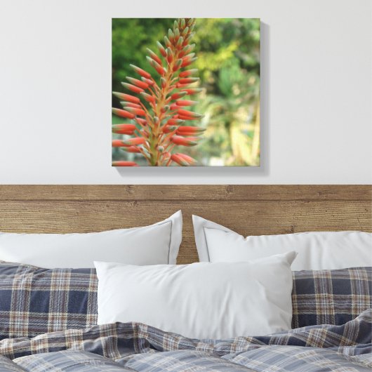 Aloe Vera Blume Blossom Foto Print Leinwanddruck (Insitu (Schlafzimmer))