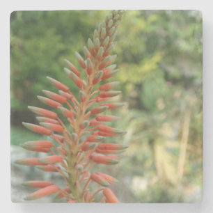 Aloe-Vera-Blumen-Blüten-Foto-Stein-Untersetzer Steinuntersetzer