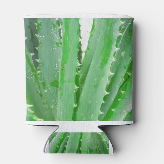 Aloe Vera Dosenkühler (Rückseite)
