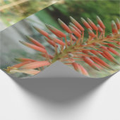 Aloe Vera Foto Linen Wrapping Paper, 30 in x 2 ft Geschenkpapier (Ecke)