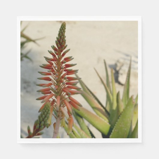 Aloe Vera Foto Luncheon Napkin Serviette (Vorderseite)