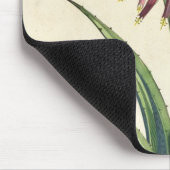 Aloe Vera gemein, von "Phytographia Curiosa", p Mousepad (Ecke)