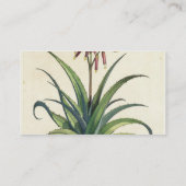 Aloe Vera gemein, von "Phytographia Curiosa", p Visitenkarte (Rückseite)