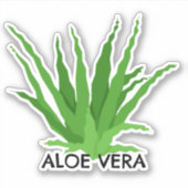 Aloe vera Green Succulent Aufkleber (Vorderseite)