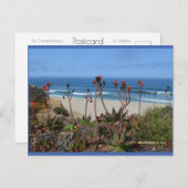 Aloe Vera in HMB | Blue Beach Song™ Postkarte (Vorne/Hinten)
