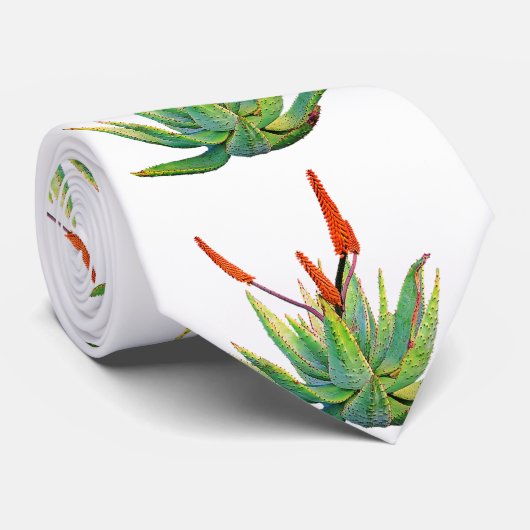 Aloe Vera Krawatte (Gerollt)