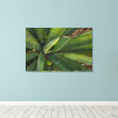 Aloe Vera Leinwanddruck (Insitu (Holzboden))