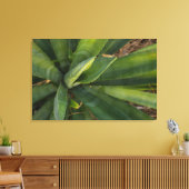 Aloe Vera Leinwanddruck (Insitu (Wohnzimmer))
