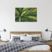 Aloe Vera Leinwanddruck (Insitu (Schlafzimmer))