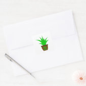 Aloe Vera mit einem Label Quadratischer Aufkleber (Umschlag)