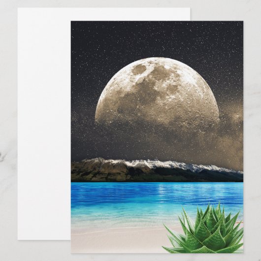 Aloe Vera Moon Beach (Vorne/Hinten)