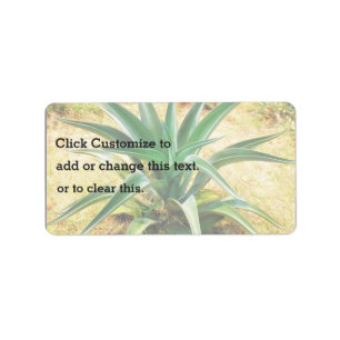 Aloe-Vera-Pflanze Adressaufkleber
