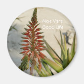 Aloe Vera Pflanze Blume Button Magnet (Vorne)