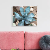 Aloe Vera Pflanze Foto Wrapped Canvas Print Leinwanddruck (Insitu (Wohnzimmer))