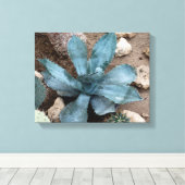 Aloe Vera Pflanze Foto Wrapped Canvas Print Leinwanddruck (Insitu (Holzboden))