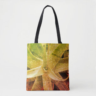 Aloe Vera Pflanze Fotografie Sukkulente Tasche