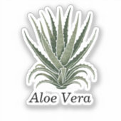 Aloe Vera Pflanze Herbal Apothecary Aufkleber (Vorderseite)