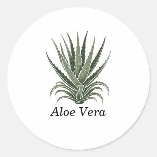 Aloe Vera Pflanze Herbal Apothecary Runder Aufkleber (Vorderseite)