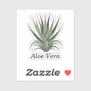 Aloe Vera Pflanze Kräuterapotheke  Aufkleber