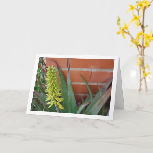 Aloe Vera Pflanze mit Blume Head Karte (Gelbe Blume)