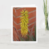 Aloe Vera Pflanze mit Blume Head Karte (Vorderseite)