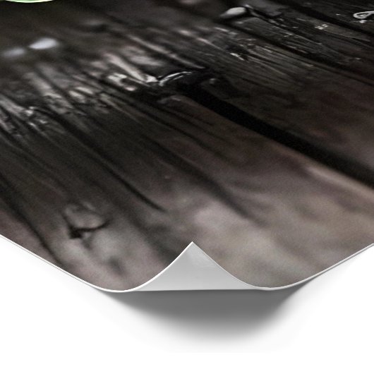 Aloe Vera Pflanze Poster (Ecke)