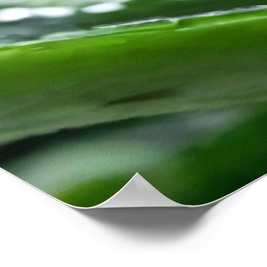 Aloe Vera Pflanze Poster (Ecke)