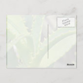 Aloe Vera Postkarte (Rückseite)