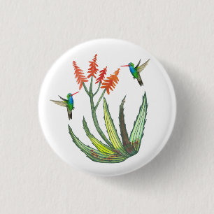 Aloe Vera Sukkuläre Blume Hummingbirds Wasserfarb Button