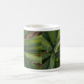 Aloe Vera Tasse (Mittel)
