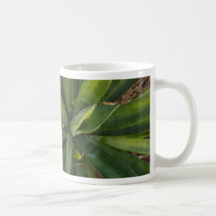 Aloe Vera Tasse