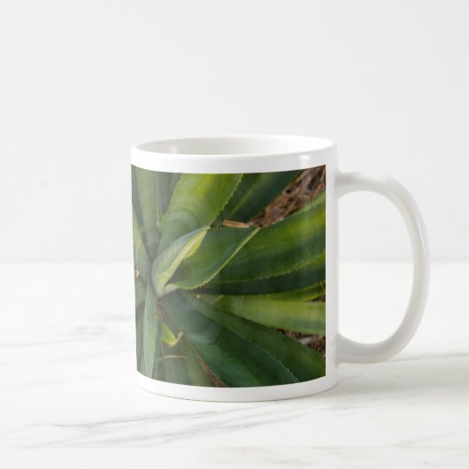 Aloe Vera Tasse (Rechts)